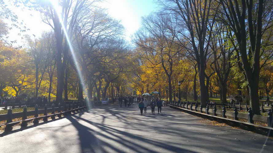 NYC_2017-11-23 11-14-29_CELL_20171123_111430